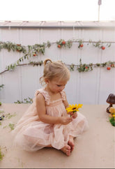 Tinkerbell - Butterfly Wing Dress , Tulle Dress Baby to Toddler.